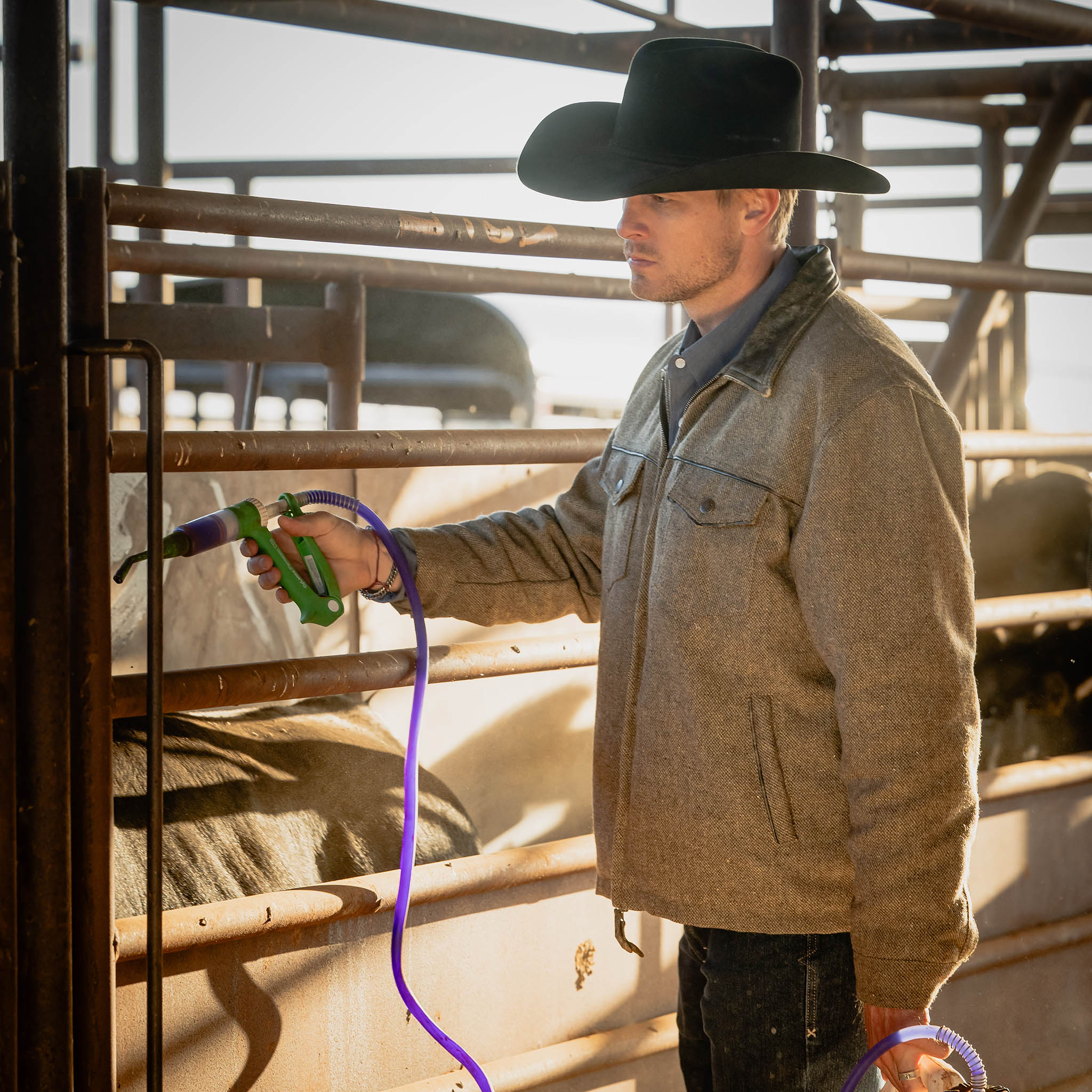 Men's Homesteader - Image 5